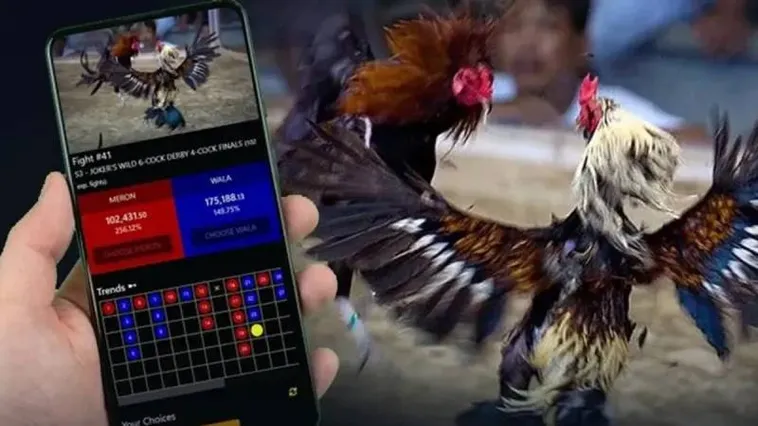 Khám Phá Sân Chơi Đá Gà Blue88 Đẳng Cấp Hàng Đầu Châu Á Năm Nay